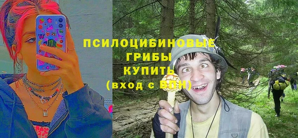 эйфоретик Алзамай