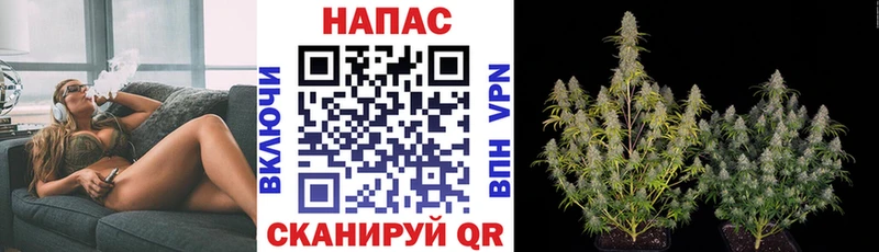 OMG ссылка  Апрелевка  Канабис AK-47 